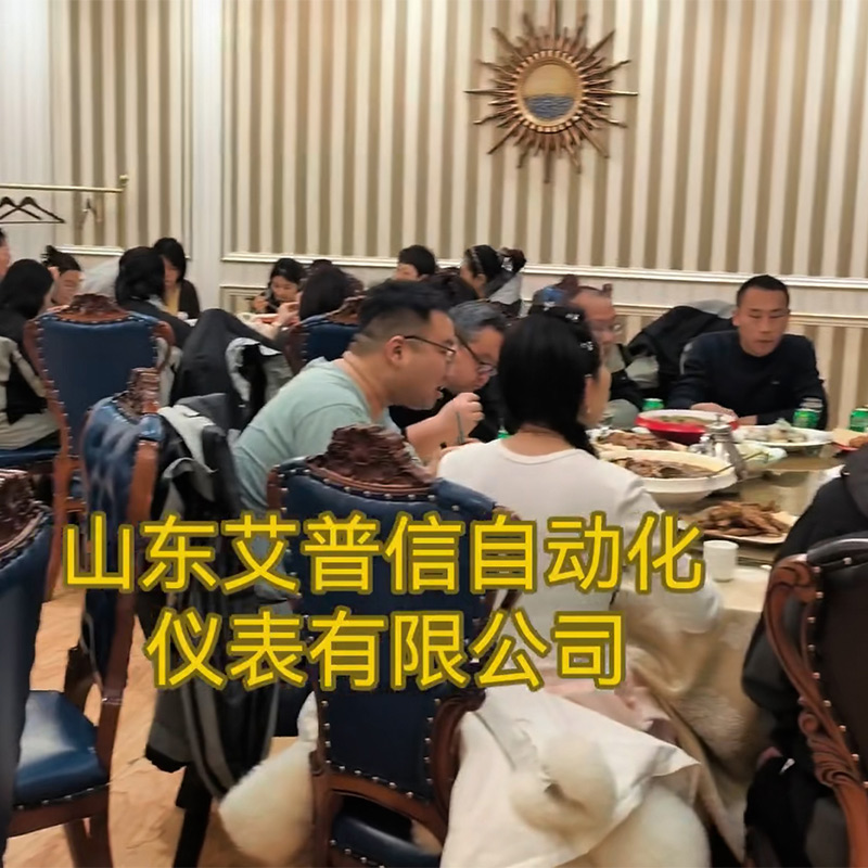 在线振动式粘度计,音叉密度计